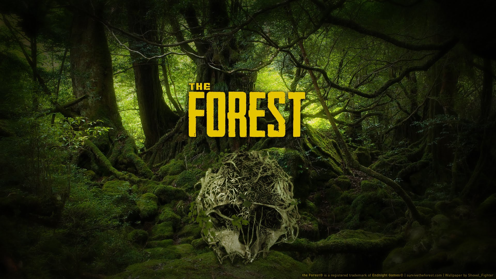 Is The Forest Cross Platform? - BLOGQUBE