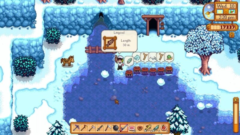 Lingcod Fish Location in Stardew Valley