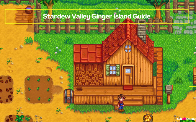 Stardew Valley Ginger Island Guide