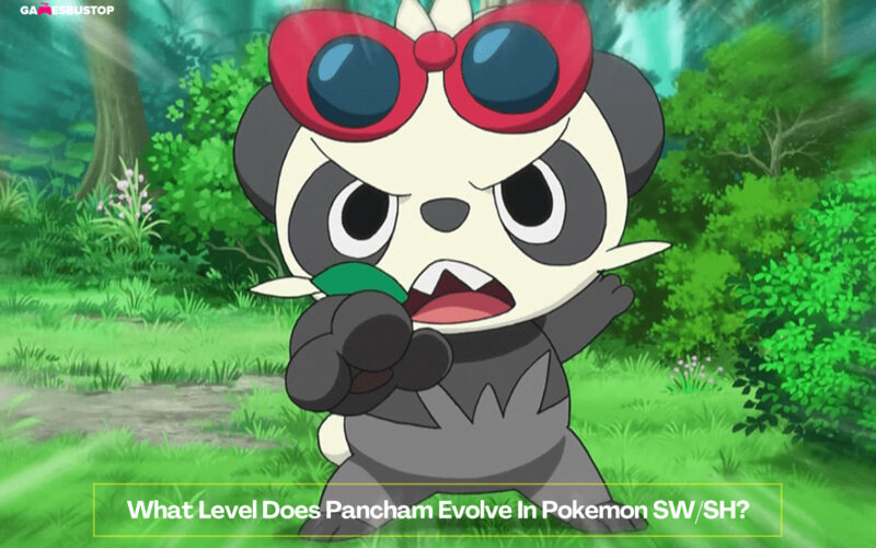 What Level Does Pancham Evolve In Pokemon SW-SH