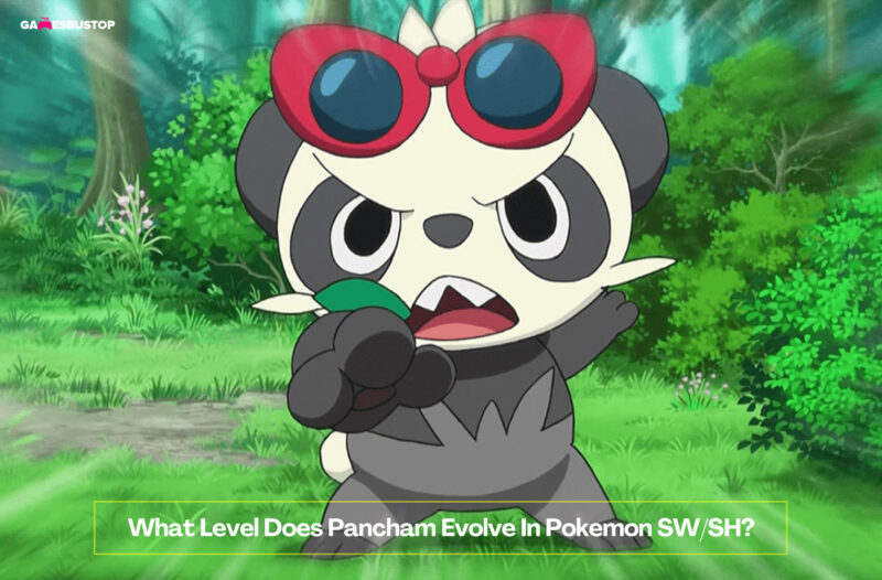 What Level Does Pancham Evolve In Pokemon SW-SH