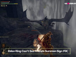 Elden Ring Can’t See Friends Summon Sign (FIX)