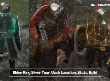 Elden Ring Silver Tear Mask Location, Stats, Build