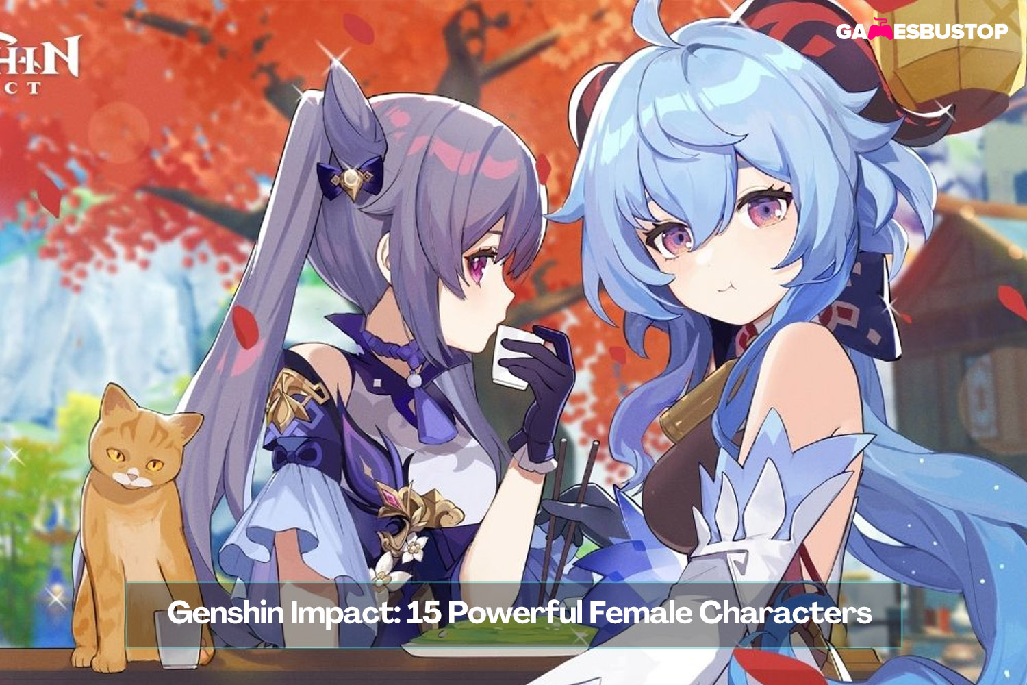 All Genshin Female Characters