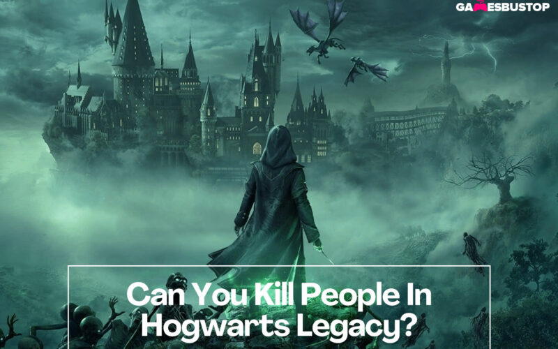 Can You Kill People In Hogwarts Legacy?