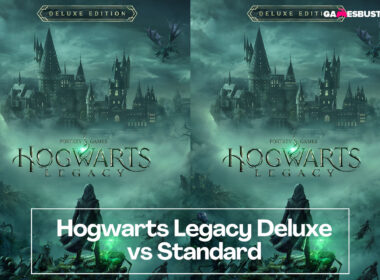 Hogwarts Legacy Deluxe vs Standard